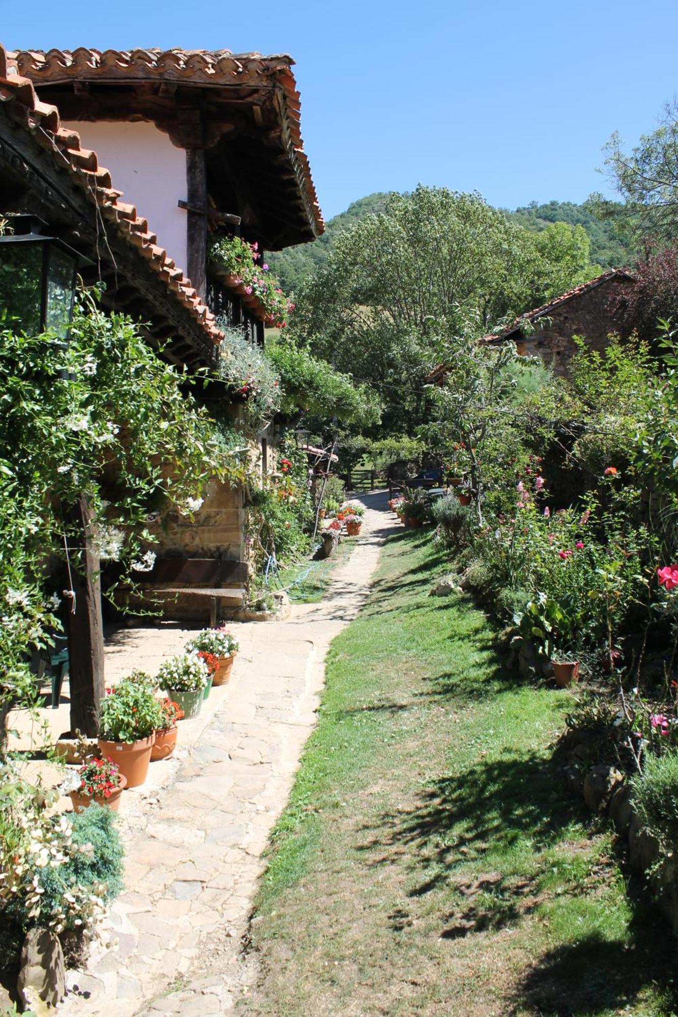 Maison d'hôtes Casona De Trevino à Cosgaya Extérieur photo